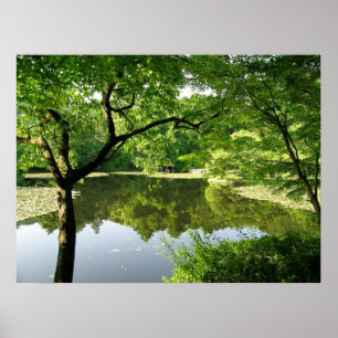 Poster Reflexões de Kyoto Japão