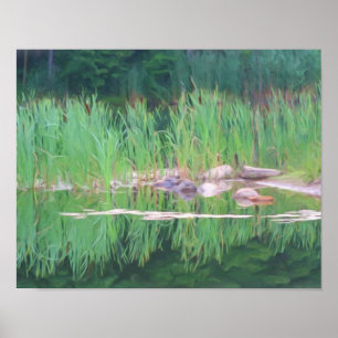 Póster Reflexões de lições de cattails Pintura fotogr