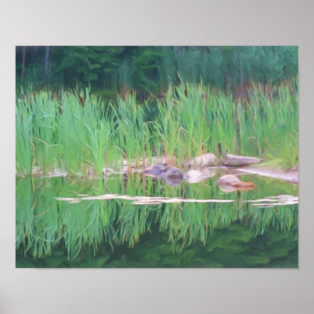 Póster Reflexões de lições de cattails Pintura fotográfic (Frente)