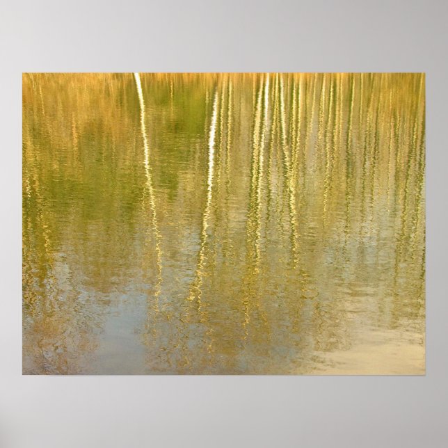 Poster Reflexões De Pond (Frente)