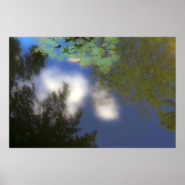 Póster Reflexões de um belo dia (Frente)