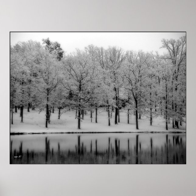 Póster Reflexões do inverno (Frente)