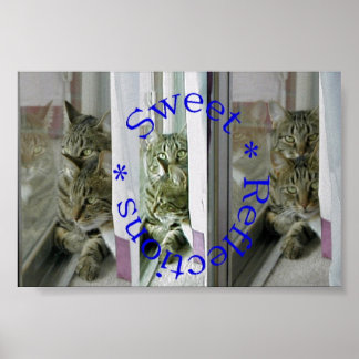 Poster Reflexões Doce