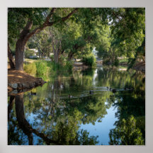 Reflexões Pacíficas de Pond - Espelho da Natureza
