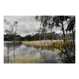 Póster Reflexões Por Baixo Do Céu Da Cinza