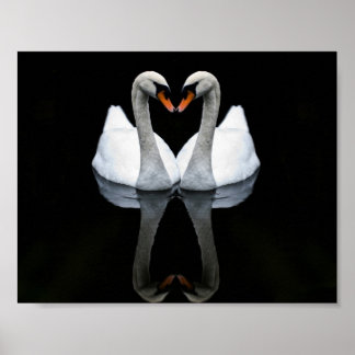 Póster Reflexões sobre amor, forma cardíaca, Cisnes branc