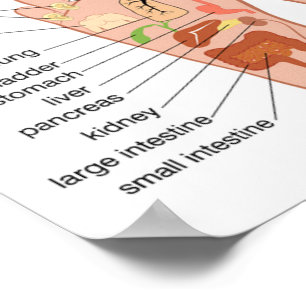 Poster Reflexology do pé