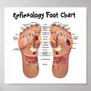 Poster reflexology do pé