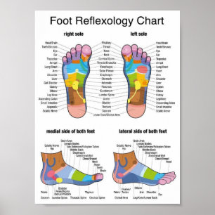 Poster reflexology do pé