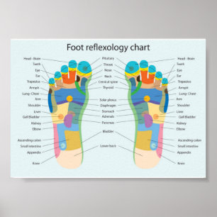 Póster reflexology do pé
