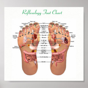 Póster reflexology do pé
