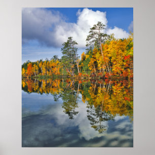 Póster Reflexos do lago no outono, Maine
