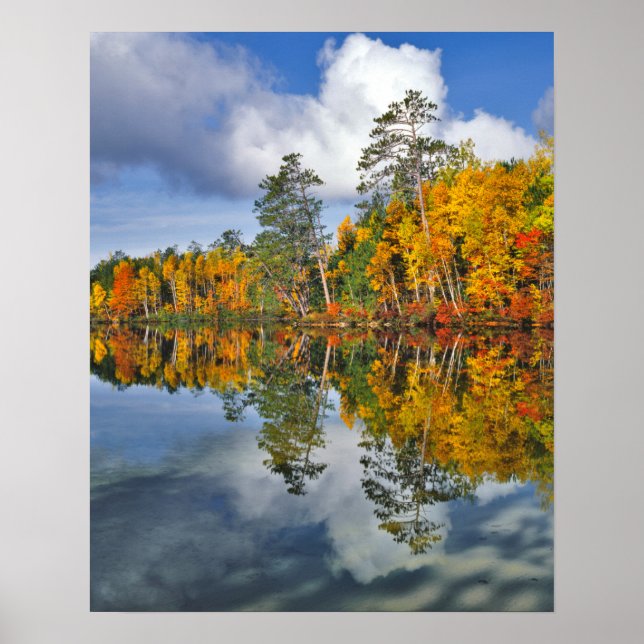 Póster Reflexos do lago no outono, Maine (Frente)