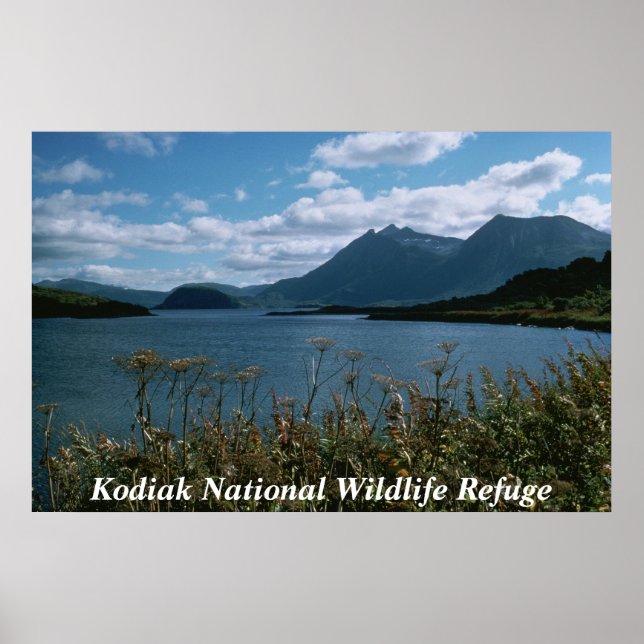 Poster Refúgio Nacional de Vida Selvagem de Kodiak (Frente)