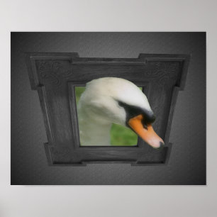 Póster Regal Swan Fora Da Natureza Da Moldura