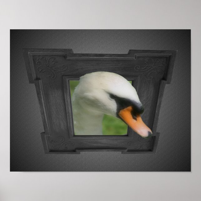 Póster Regal Swan Fora Da Natureza Da Moldura (Frente)