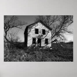 Poster Regeneração