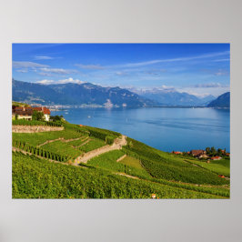 Póster Região de Lavaux, Vaud, Suiça