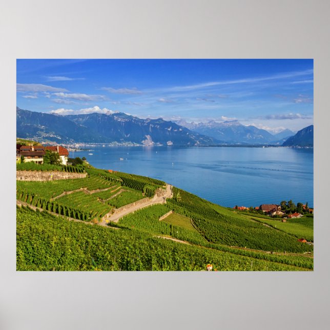 Póster Região de Lavaux, Vaud, Suiça (Frente)