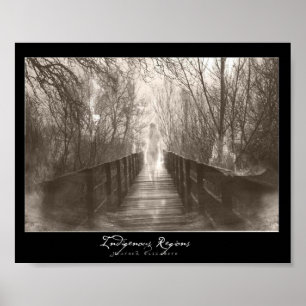 Poster Regiões indígenas