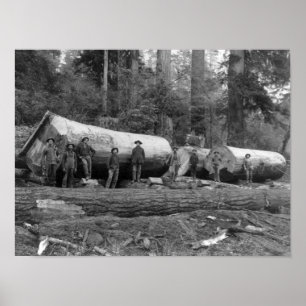 Poster Registro a vapor em cascata do Estado de Washingto