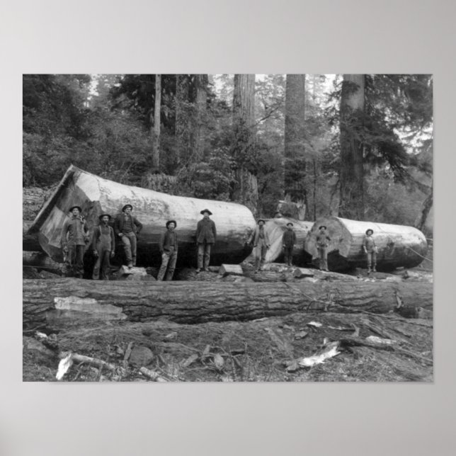 Poster Registro a vapor em cascata do Estado de Washingto (Frente)