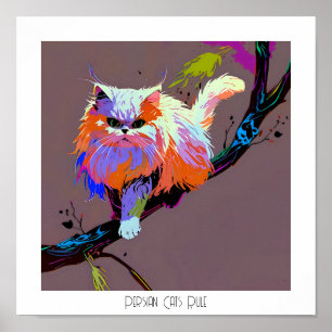 Poster Regra de Gatos Persa