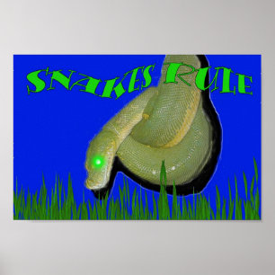 Poster Regra dos cobras!!!