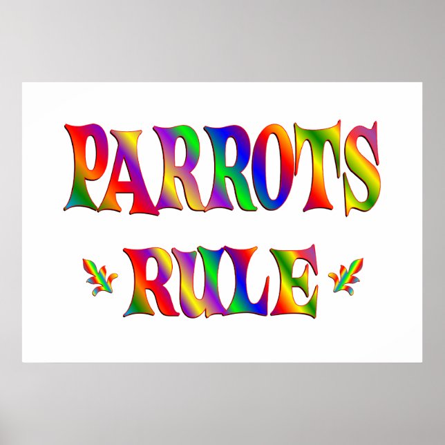 POSTER REGRA PARROTS (Frente)