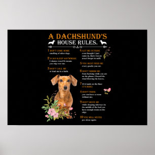 Poster Regras da Casa de Dachshund