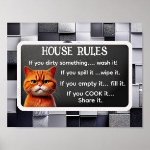 Poster REGRAS DA CASA, pelo influenciador do gato