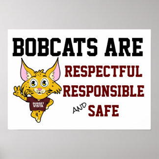 Poster Regras da escola Bobcat Responsáveis pelo Respeito