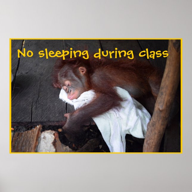 Póster Regras da sala de aula de professores (Frente)