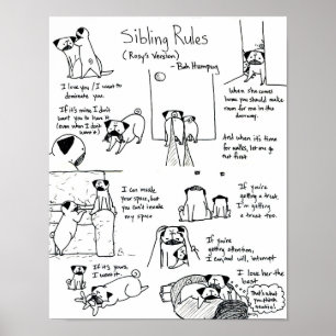 Poster Regras de Irmãos (Versão Pug Mais Novo)