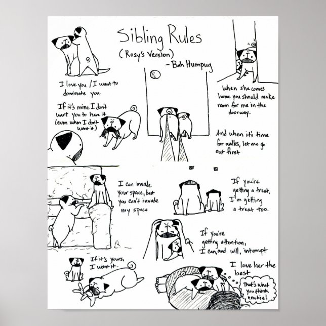 Poster Regras de Irmãos (Versão Pug Mais Novo) (Frente)