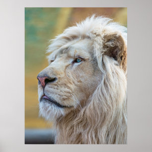 Póster Rei da pintura mural dos trabalhos de arte do