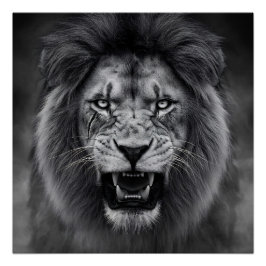 Póster Rei da Selva