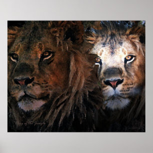 Poster Rei da selva
