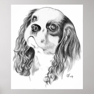Póster Rei descuidado Charles Desenho