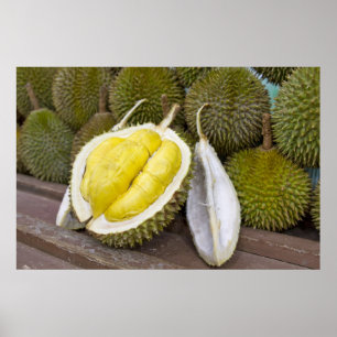 Póster Rei do Durian das frutas na cidade de Singapore