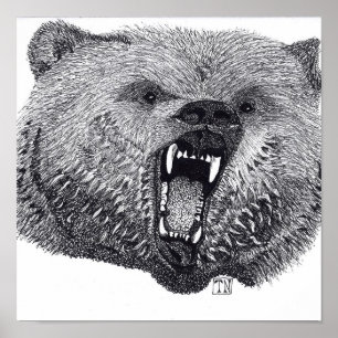 Póster Rei do Wilds, cartaz do urso de urso