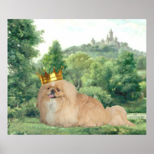 Poster Rei pequinês