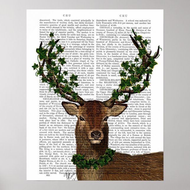 Poster Rei Verde (Frente)