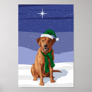 Poster Reindeer Dando Nariz ao Coelho