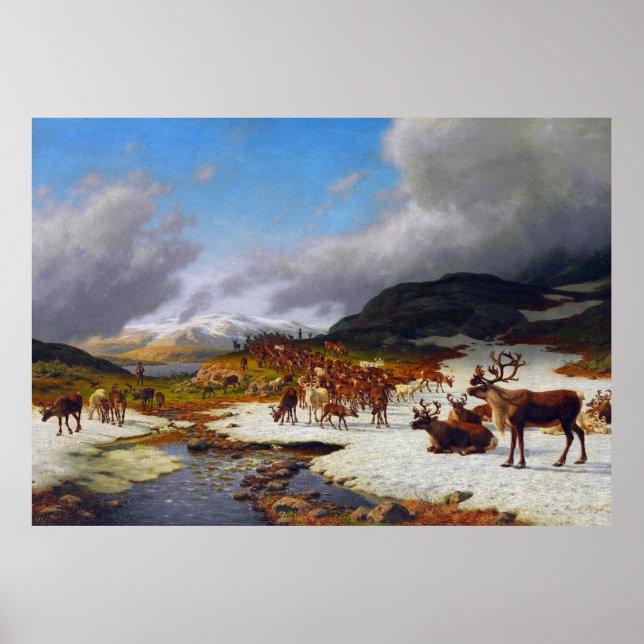 Poster Reindeer Herd nas Montanhas a norte de Røros (Frente)