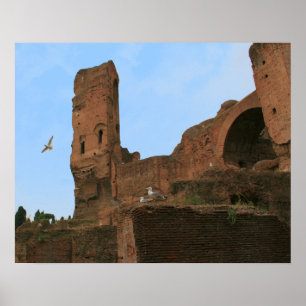 Póster Reino das gaivotas