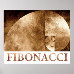 Póster Relação dourada, espiral de Fibonacci