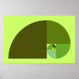 Póster Relação dourada, espiral de Fibonacci