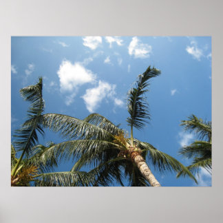 Poster Relaxamento Verdadeiro