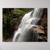 Relaxando a Fotografia da Natureza da Caipira